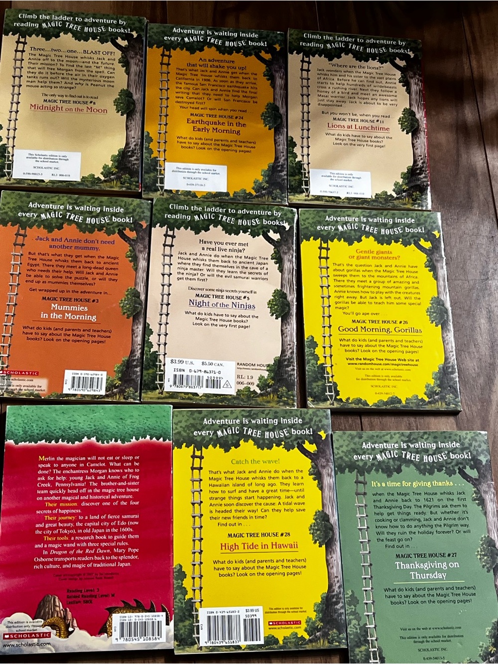 Magic Tree House - Picture 2 of 3